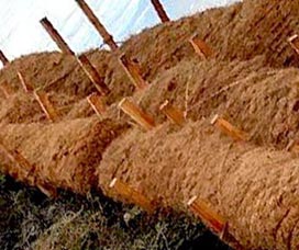 coconut coir logs