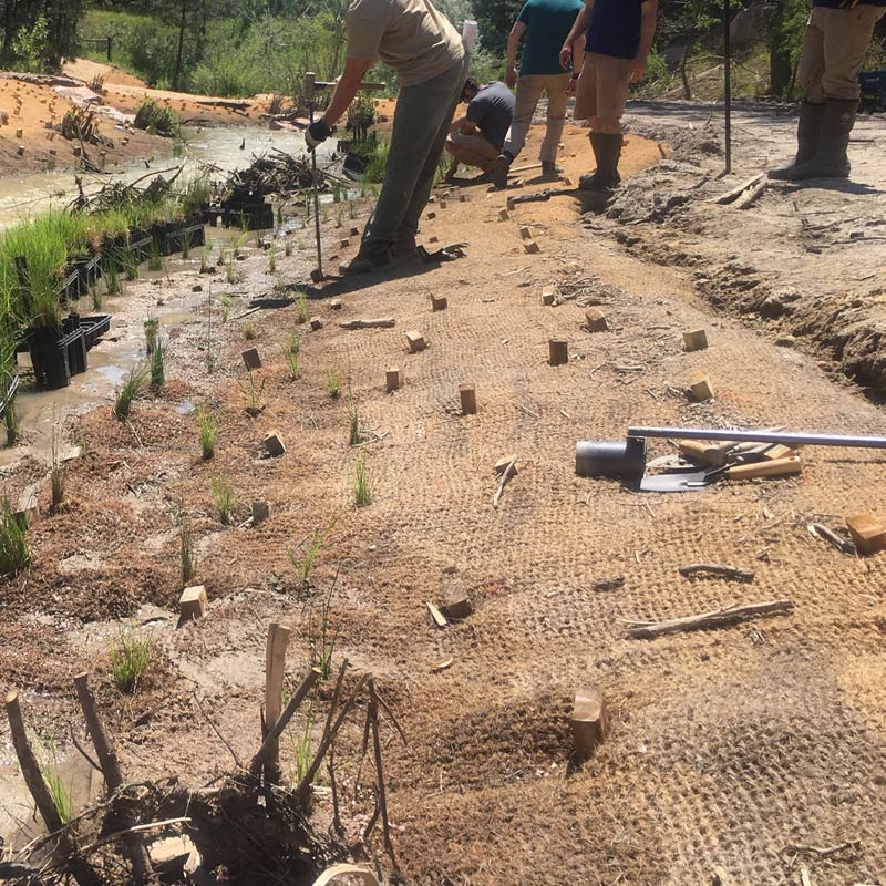 Coconut Coir Mat 90 Erosion Conrol for Steep Hillsides
