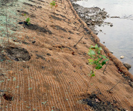 Jute Erosion Control Blanket