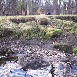 Riverbank Erosion