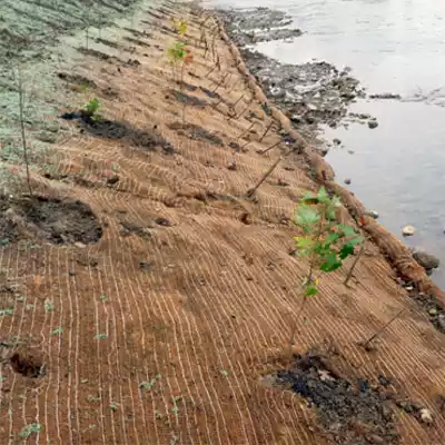 Jute erosion blanket