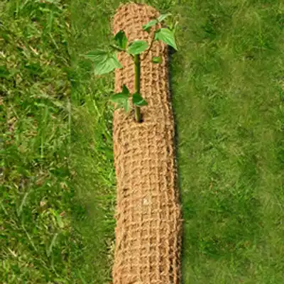 Predrilled Coir Logs with Seedlings