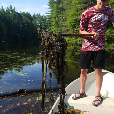 floating debris in Sarnac River