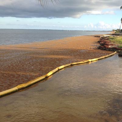 Floating Seaweed Barrier