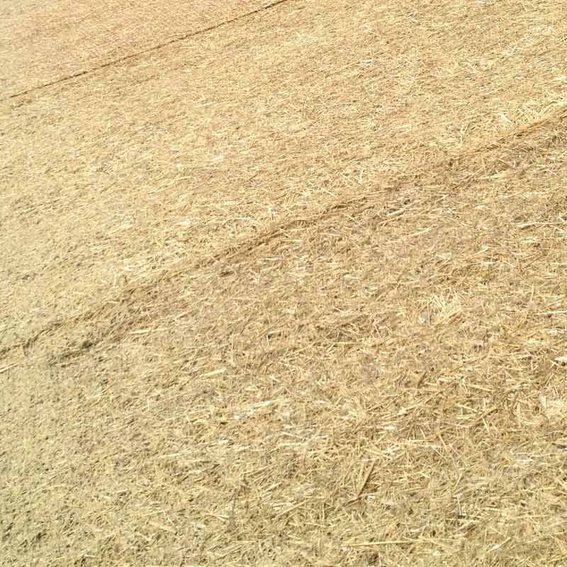 Straw Blanket Erosion Blankets for Slope Stabilization