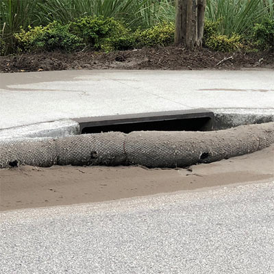 Curb guard