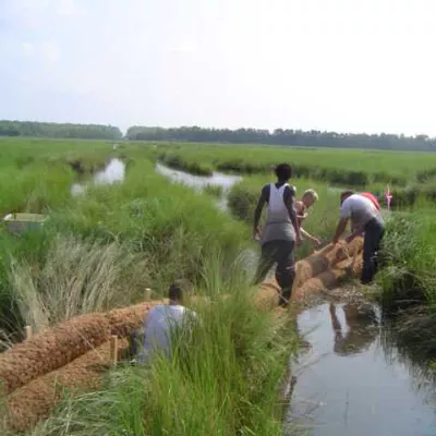 coir fiber rolls