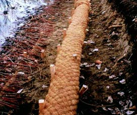 coir log