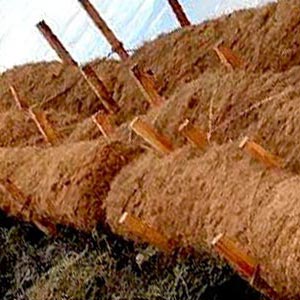 coir log