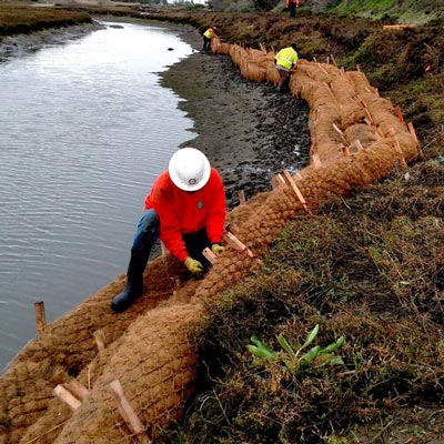 coir logs being installed on riverbank