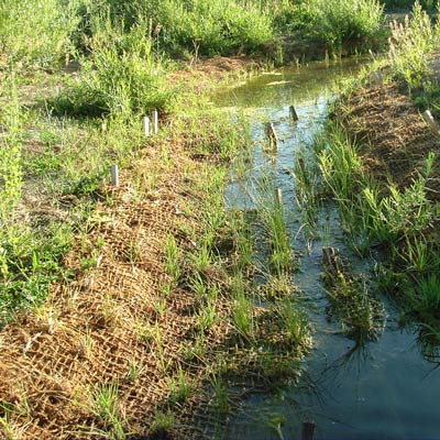 coir fiber matting erosion control