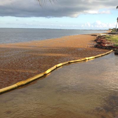 floating seaweed barrier
